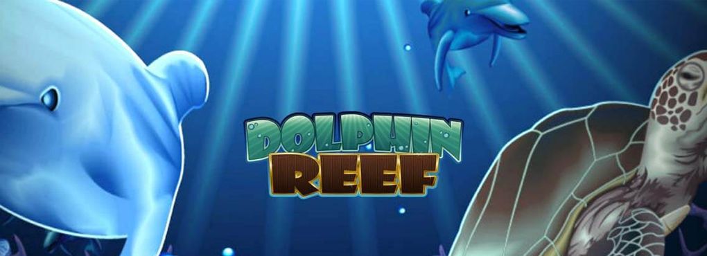 Dolphin Reef