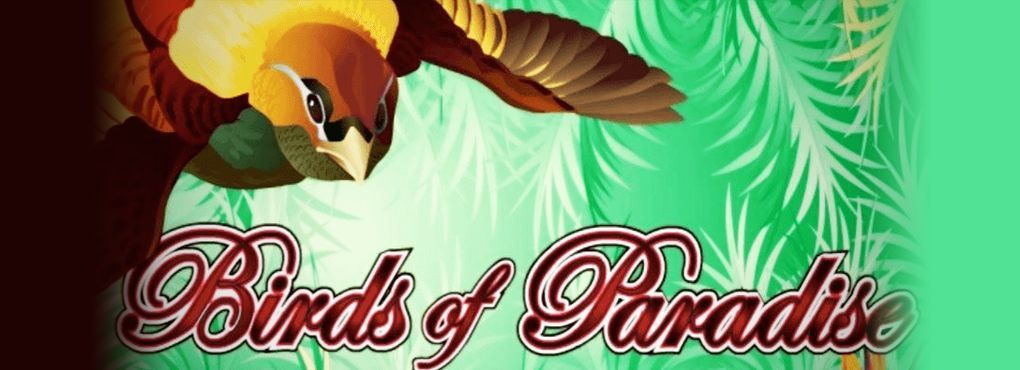 Birds of Paradise
